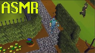 ASMR Old School Runescape  Pt5  Infiltrating The Witchs House [upl. by Erminia]