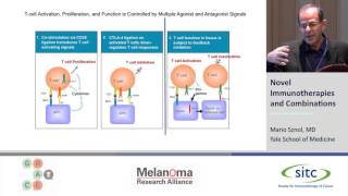 Novel Immunotherapies and Combinations [upl. by Clarisse]