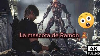 RESIDENT EVIL 4 REMAKE LA MASCOTA DE SALAZAR PS5 GAMEPLAY [upl. by Cesaria]