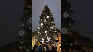 Strasbourg Christmas Market villageidiotadventures [upl. by Leva]