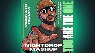 Million Stylez amp Team Damp  You Are The One Nightdrop Moskato Riddim Remix [upl. by Berna575]