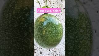 Suco Quem não gosta de um suco de Maracujá né Saúde vidasaudavel [upl. by Melesa441]