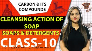 Cleansing action of soap class 10soaps and detergentscarbon and its compounds CBSE NCERT class 10 [upl. by Arihsak340]