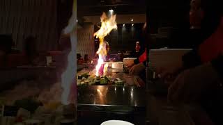 Teppanyaki  Live Cooking  short video [upl. by Angelle603]