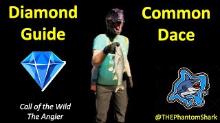 Common Dace Diamond Guide Top Hotspot Norway Trollsporet Reserve Call of the Wild The Angler [upl. by Jegar52]