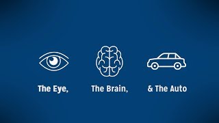 The Eye The Brain amp The Auto Autonomous Mobility [upl. by Suilmann]