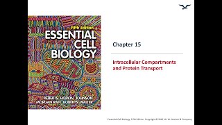 Intracellular compartments and Transport [upl. by Zabrina159]