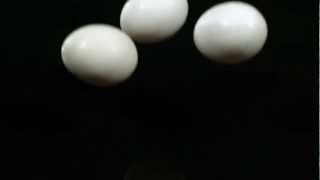 Slow Motion Eggs Dropping HD Breaking in Slow Mo Shells Cracking and Video View of Yolks and Whites [upl. by Gilead]