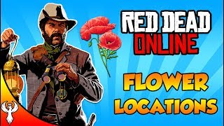 Red Dead Online  ALL American Wild Flower Locations for Cycles 13 Collector [upl. by Atteroc460]