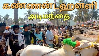 கண்ணன்டஹள்ளி அடிமந்தை ஒரு பார்வை 29022024 [upl. by Weinert570]