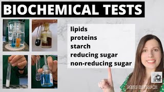 Alevel BIOCHEMICAL TESTS test for starch reducing sugars nonreducing sugars proteins lipids [upl. by Azalea]