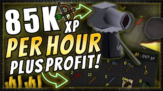 New Best Cannon Spot for Pures 85k XP AND Profit OSRS [upl. by Hamian]