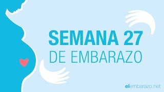 Semana 27 de embarazo  27 semanas de embarazo  El embarazo semana a semana [upl. by Jaf]