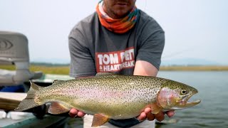 Guides Day Off Fishing Hoppers and Beetles in Late Summer on the Henrys Fork [upl. by Amoihc]