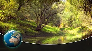 The Sava Floodplains  Croatias secret paradise  Full Documentary [upl. by Areid]