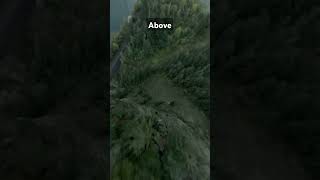 Above the trees dronevideo 60million fpv drone automobile 35m uav fpvdrone 55m [upl. by Evonne]