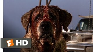 SO MUCH ANXIETY Cujo 1983 FIRST TIME WATCHING REACTION 40th Anniversary  Stephen King Horror [upl. by Clintock]