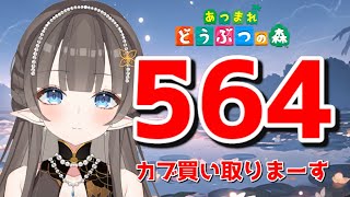 【あつまれどうぶつの森】1カブ＝『564ベル』で売る配信 [upl. by Anidem984]