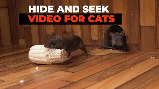 CAT GAMES 😺 Hide and Seek Mice for Cats to Watch with Bird Sounds [upl. by Seabury]