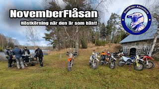 NovemberFlåsan  Husqvarna 701 Enduro KTM 690 Enduro R KTM 500 EXCF Honda CRF250 Rally [upl. by Tolkan]