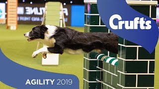 Agility  Championship Final  ​Crufts 2019 [upl. by Joe]