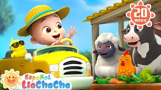 NUEVO Las Ruedas del Bus Animales de Granja  LiaChaCha en Español  Canciones Infantiles [upl. by Atteyek]