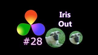 How To Create An Iris Out Effect In DaVinci Resolve [upl. by Tabina307]