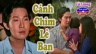 Cai Luong Canh Chim Le Ban [upl. by Aitahs]