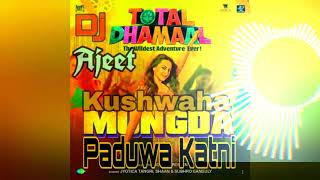 Mungda Total Dhamal DJ Ajeet Kushwaha Paduwa katni [upl. by Symon526]