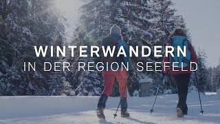 Winterwandern in der Region Seefeld  Winterweitwandern in Tirol [upl. by Aitetel]