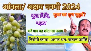 अक्षय नवमी 2024 में कब है Akshay Navami 2024 mein Kab Hai Amla navami kab hai आंवला नवमी कब है 2024 [upl. by Vookles]