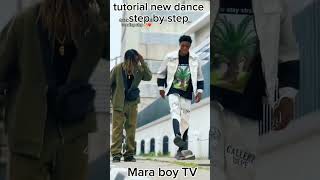 Marapass dance new dance tutorial dancer step by stepodogwu teedollar legwork shorts shortvideo [upl. by Armin850]