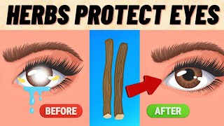 6 Herbs That Protect Eyes and Repair Vision [upl. by Nawud]