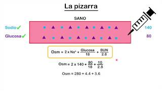 Hiponatremia los 5 mandamientos versión corta [upl. by Roobbie]