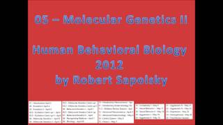 05  Molecular Genetics II from Human Behavioral Biology 2012 by Robert Sapolsky [upl. by Retlaw194]