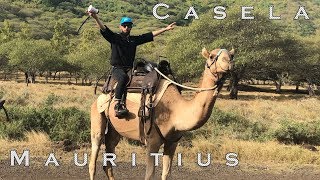 Casela World of Adventures  Riding V12 Camel on 100 Octane in Mauritius [upl. by Watson]