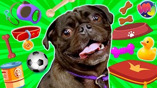 🤑 COMPRO TODO LO QUE TOQUE MI PERRO 🐶 Con mis Adorables Perritos Pug [upl. by Tabbatha]