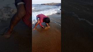 Catching Mole Crabs with Empty Hand fishing fishingvideos thoondilulagam seafishing [upl. by Jamal]