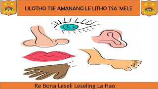 LILOTHO TSA SESOTHO [upl. by Pebrook]