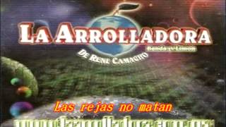 Las rejas no matan  La Arrolladora Banda el Limón [upl. by Anilok172]