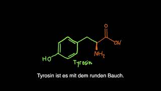 Aminosäuren Rap [upl. by Celeski]