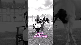 INTERVIEW par DEVOUCOUX 💚😳 cheval chevaux equitation poney jumping horse [upl. by Onateag]