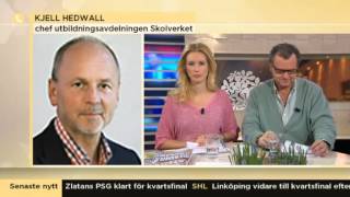 Skulle skriva nationellt prov  hamnade på rysk porrsajt  Nyhetsmorgon TV4 [upl. by Hsara]