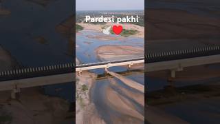 pardesi pakhi geeta explorepage trending reels [upl. by Urina881]