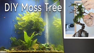 DIY Easy Christmas Moss Tree [upl. by Adina]