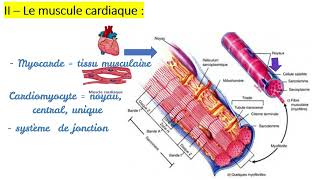 Histologie Les tissus musculaires  Caractéristiques  Types des muscles Strié cardiaque lisse [upl. by Giusto]