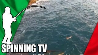 CALAMARO A EGING CON CANNA DA SPINNING LA CATTURA DEL quotTUBOquot IN DIRETTA  PESCA AI CEFALOPODI [upl. by Dolores]