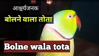 Bolne Wala Tota  Mitthu  बोलने वाला तोता  Talking Parrot  part  1 [upl. by Ellennaj960]