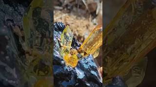 Fruitful Natural Gemstones Hunt shorts crystals viralvideo [upl. by Macswan]