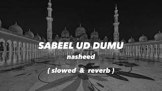 Sabeel ud dumu  nasheed slowed amp reverb [upl. by Aisats956]